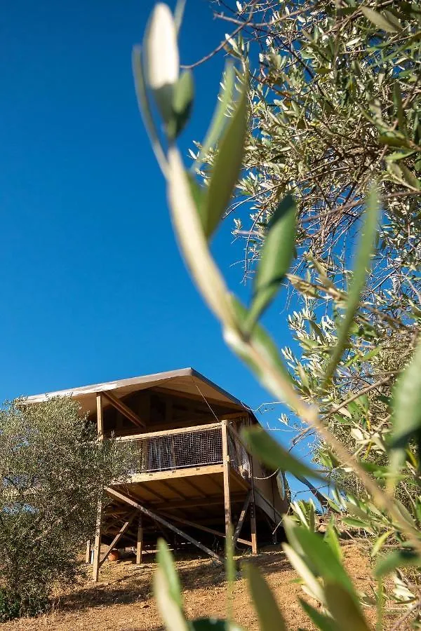 Glamping Podere San Jacopo Massa Marittima 0*,